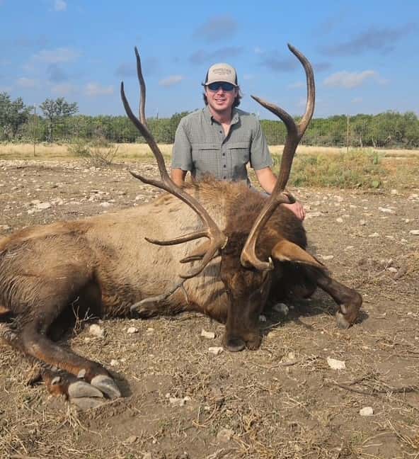 Hunter with a bull elk on bare ground