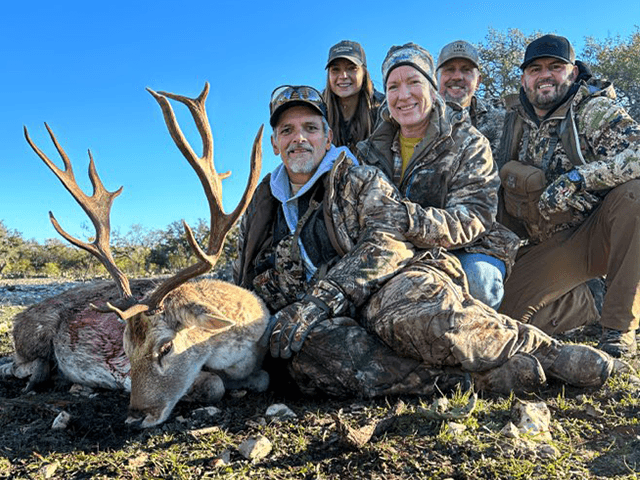 Group gathered behind a whitetail buck in sunlight