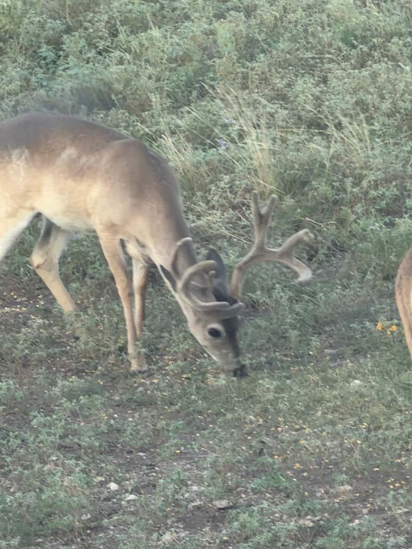 August 2026 additions ranch photo 4
