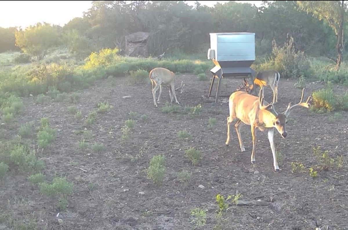 August 2026 additions ranch photo 5
