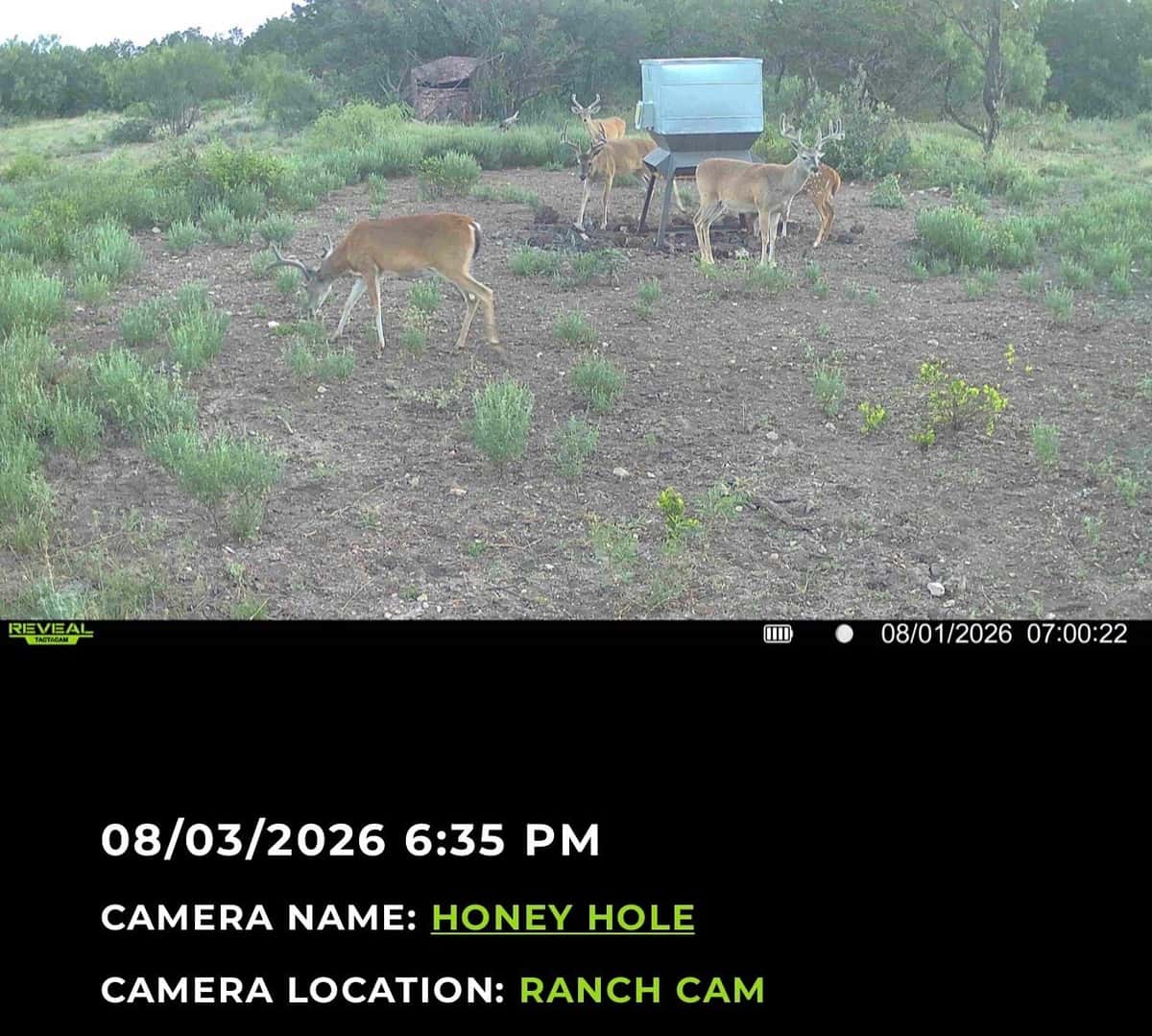 August 2026 additions ranch photo 1