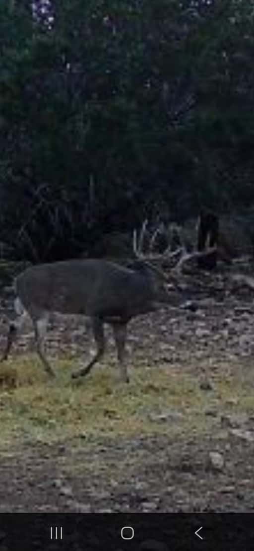 2025–26 season ranch photo 119