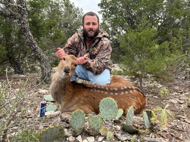 Hunter with an Axis deer beside prickly pear cactus