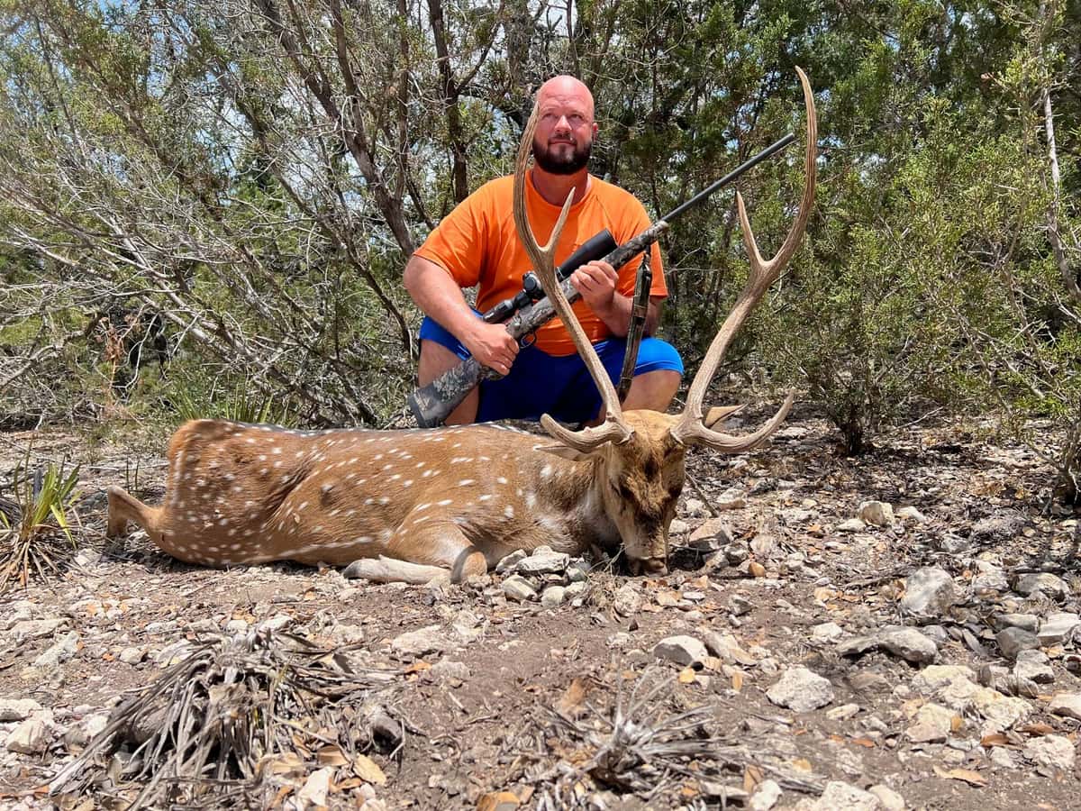 Hunter in an orange shirt with an Axis buck beside brush