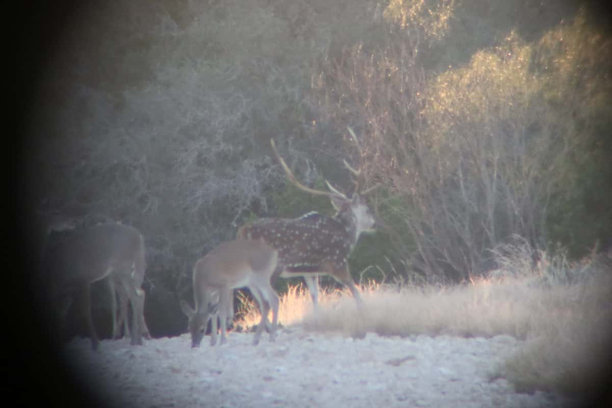 2025–26 season ranch photo 123