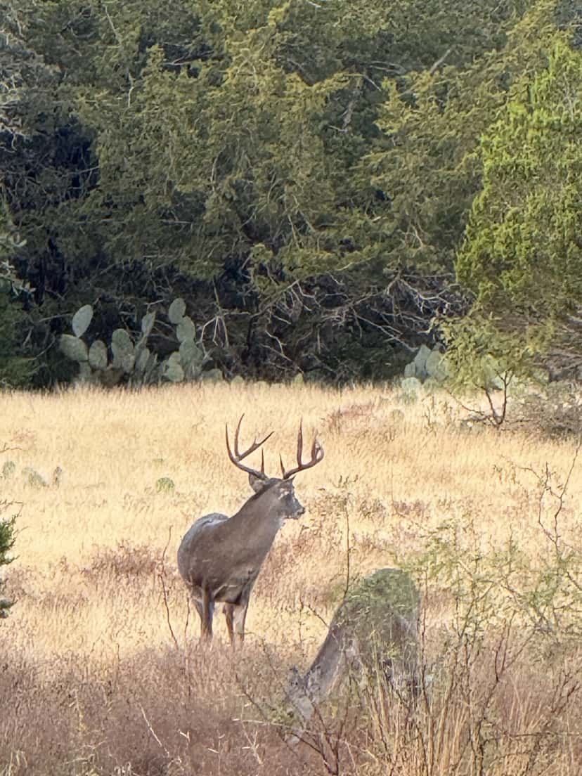 2025–26 season ranch photo 46